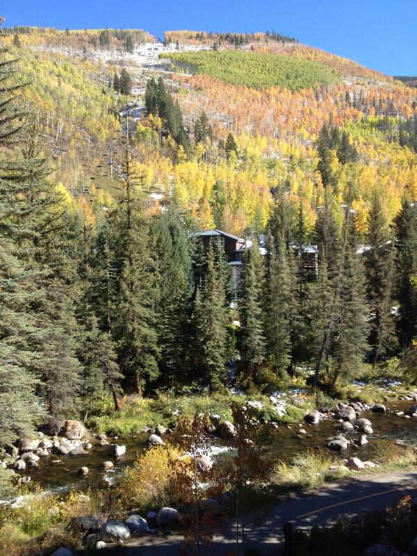 xfactor583's tweet image. I'm never coming home.