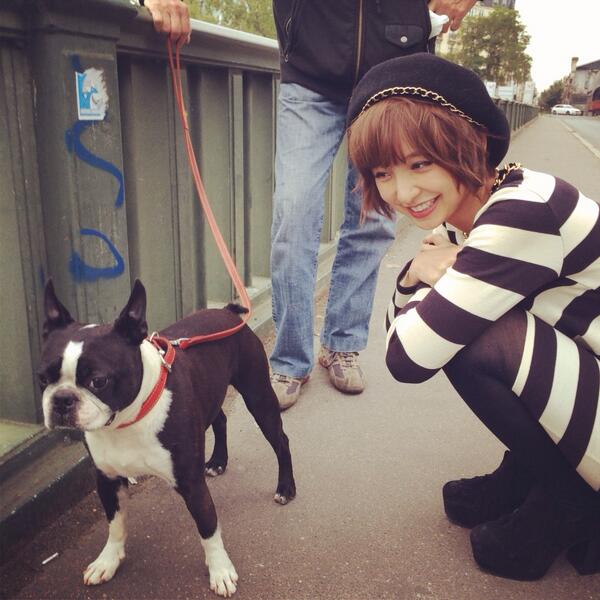 篠田麻里子 わんっ Http T Co Lpsqiipxsu Twitter 篠田麻里子 わんっ Http T Co Lpsqiipxsu Twitter