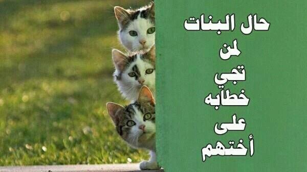 01Nawaf's tweet photo. ههههههههه http://t.co/Z4wbEHIhoP