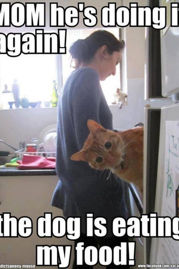 FatCats13's tweet photo. http://t.co/U1ePoeYvaw