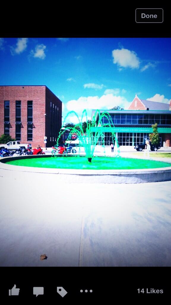 NSU's campus is becoming pretty spirited! #GetRowdyintheJungle #GreenFountain