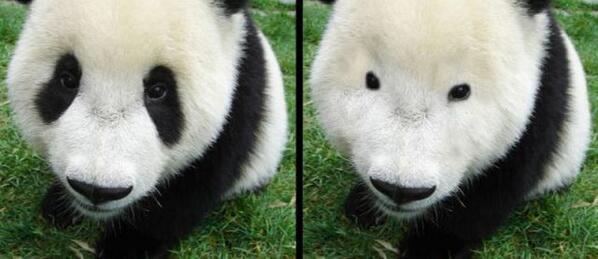 birdahabak's tweet image. Ünlülerin makyajsız halleri...