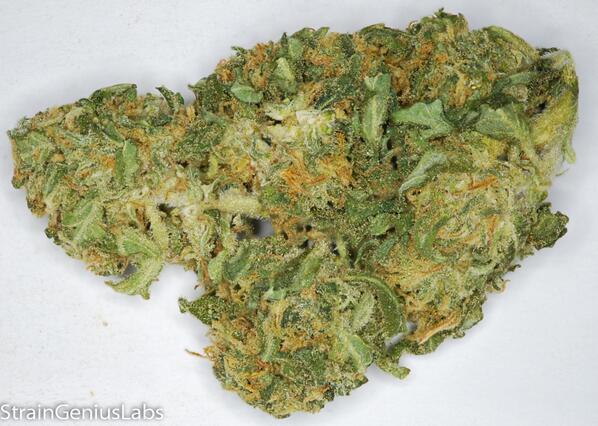 GoSlowFastErrl's tweet image. RT @StrainGeniusLab: Check out the TRAINWRECK we tested for The Nile THC: 16.84% CBD: 0.13% CBN: 0.11% #MMJ #Venice