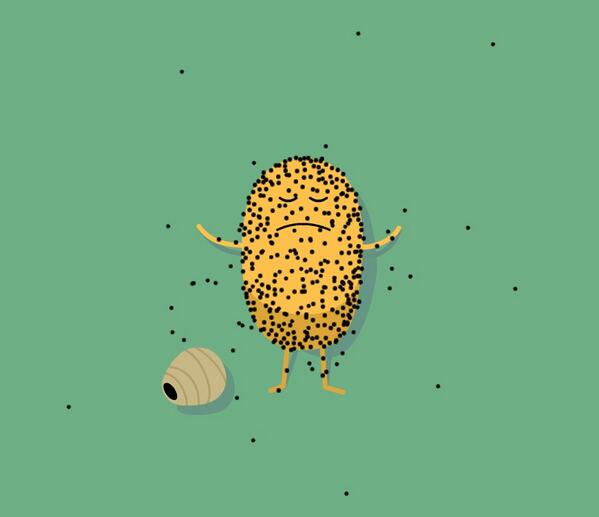 Wasp nest volleyball isn't for me: appstore.com/dumbwaystodie