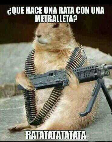 cacadelwhatsapp's tweet photo. ¿Que hace una rata con una metralleta? http://t.co/GsM27sKvoV