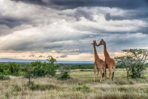 _Paisajes_'s tweet photo. Solo en Africa. http://t.co/CVdrRr89u0