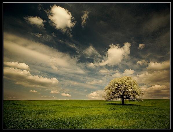 Landscapefun's tweet photo. http://t.co/sL6yxbSb5M