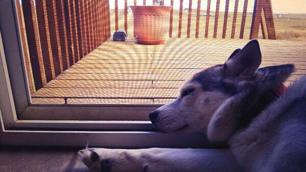 DailyChloe's tweet photo. It's nice out http://t.co/TPpxcOZGhk