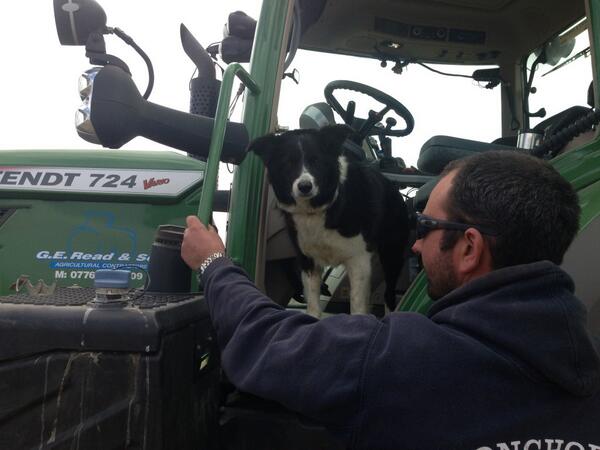 Jess retires from Sheepdog Trials age nine awesome #Sheepdog