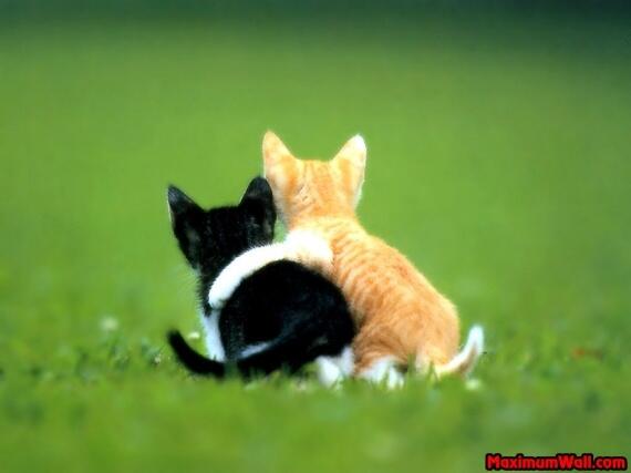 <a href="/David_Erera/">ديفيد  ✡  דוד</a>