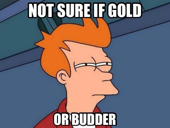 WePromoteMC's tweet image. Gold or budder?