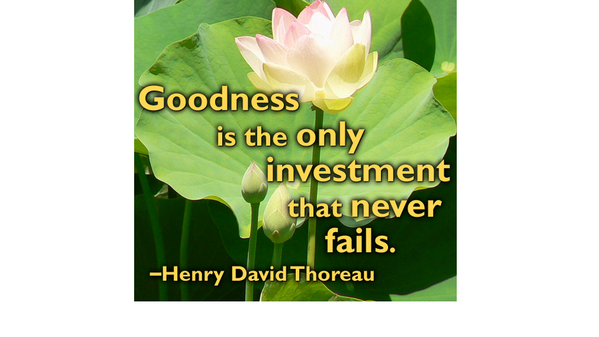 elaineborlace's tweet image. Goodness is the only investment which never fails
– Henry Thoreau
#happywithin  #kindness