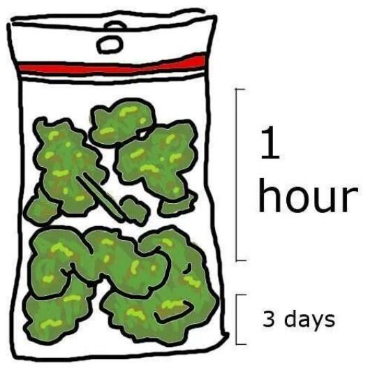 WhoDatLilBaby's tweet image. Hell yea llah #WeedProblems