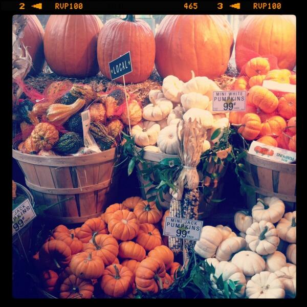 HolisticCorinne's tweet image. #fall #localpumpkins #brooklyn