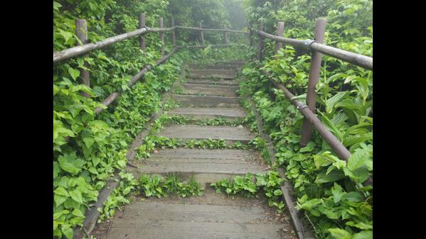 자연으로 돌아가야 건강이 보인다