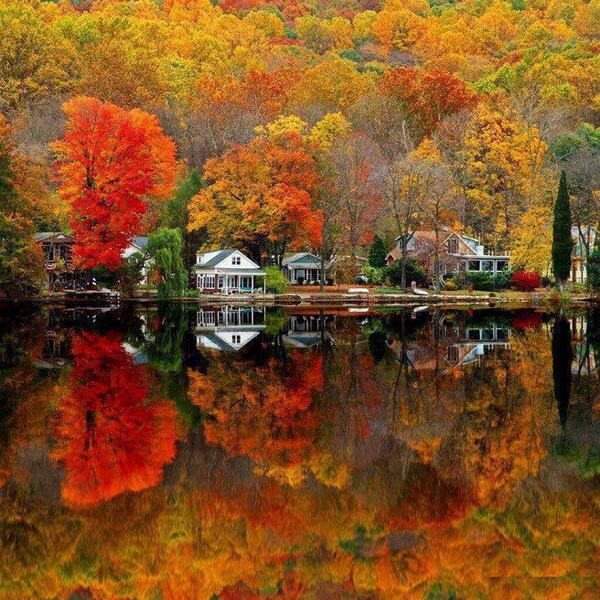 Ginsterbabe's tweet image. Nature always wears the colors of the spirit. ~ Ralph Waldo Emerson #AutumnReflections