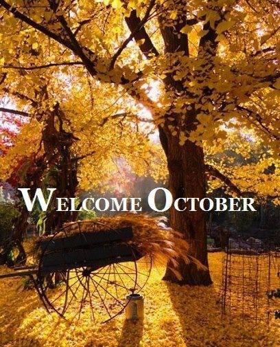 storageamerica's tweet photo. Contact us today for our new October Storage Specials!! http://t.co/wBnP45nOHs
