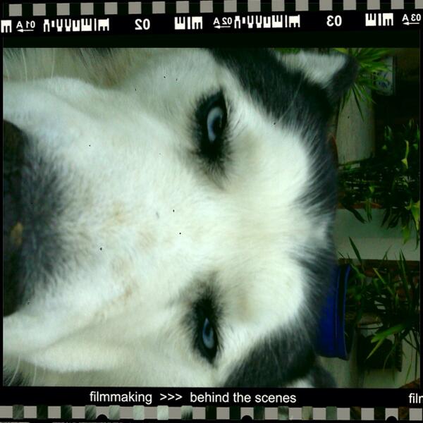 Balto_Havanne's tweet photo. ;) quiet :) http://t.co/LYWncPQ2kl