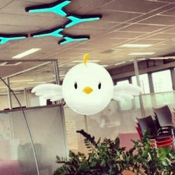 PicPicApp's tweet image. Pic Pic and funky blue lighting, where might he be??? #picpicoftheday #picpic #picoftheday ... bit.ly/1eWne2X