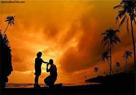 golden (@golden_h2010) on Twitter photo 