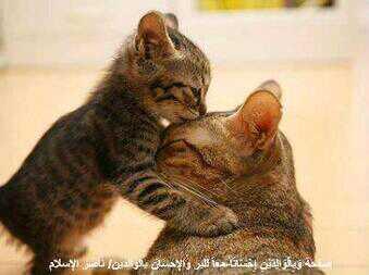 golden (@golden_h2010) on Twitter photo 