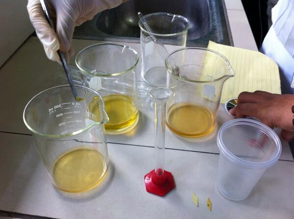 CtianR's tweet image. Nag volunteer ako na ang ihi ko ang gamitin para may plus ten! 😂 #bio102