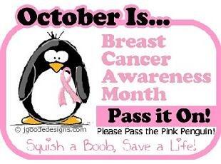 Kira_Kimbo's tweet image. It’s October
It’s #BreastCancerAwareness month
#SaveTheTaTas
#Keepabreast
#ILoveBoobies
#awareness
#getchecked