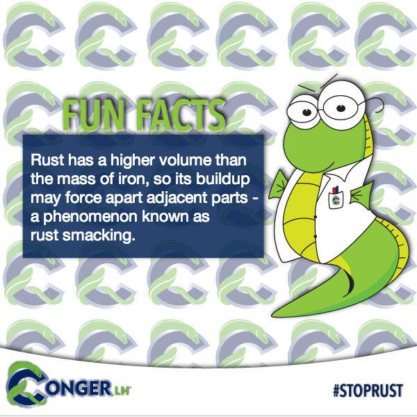 CongerLH's tweet image. Rust has less strength than the original metal &amp;amp; will gradually flake off, weakening the structure. | #stoprust #rust