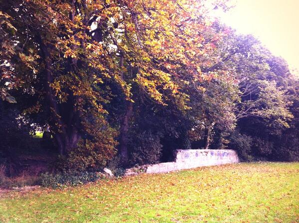 The park is starting to have an #autumnal feel to it - why not come and collect some #conkers in #CoronationPark