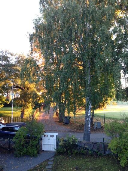 BirgitHoltskog's tweet image. Morgenstemning#høst#Kevinge Strand