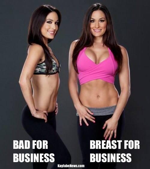 Pro-Wrestling Memes™ on X: Breasts for business!!! #NikkiBella #BellaTwins  #WWE #TripleH  / X