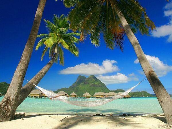 _Paisajes_'s tweet photo. RT si quieres estar aquí, ahora mismo. (Isla de Martinica) http://t.co/knWWrUkZYr