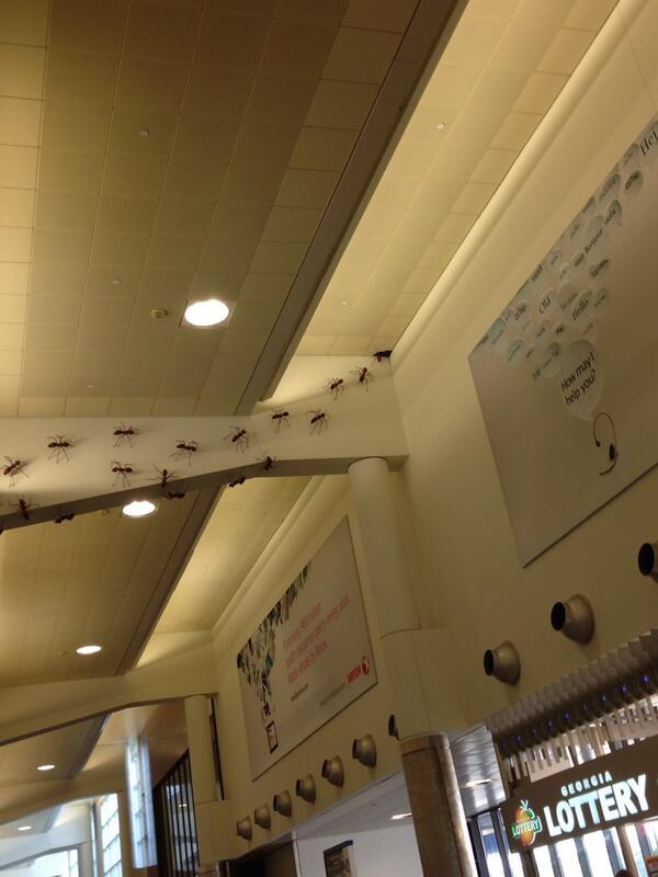 munoz_isaac's tweet image. I'm sorry, but #Really?! And at the airport... maybe they're going for the #notsosubtle spraying branding