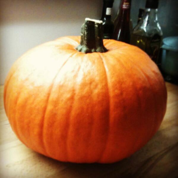 Scare the neighbours and cook a beautiful in-season meal with this - perfect for an autumn feed!