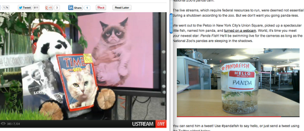 thedailybeast's tweet photo. team #pandafish (we're biased) RT @nickcarbone: #stuffedpanda vs #pandafish -- let the battle rage. http://t.co/usXbBzpKYW