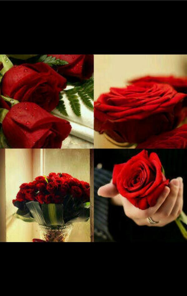 1950Mms's tweet photo. احبك والله ي ريناد والثقل http://t.co/eX8prD4QyF
