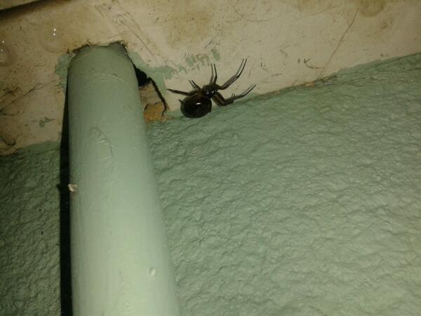 Look at this bad boy? What type is it