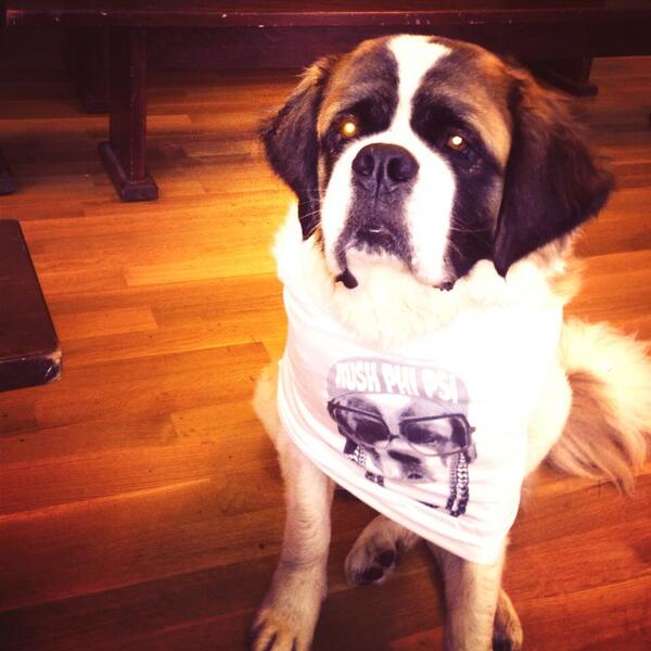 Rumor has it campus celebrity <a href="/SnowbellePup/">Snowbelle Phi Psi</a> will be signing autographs for food