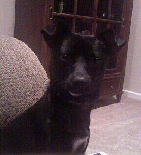 Chick Kirkpatrick tweet media