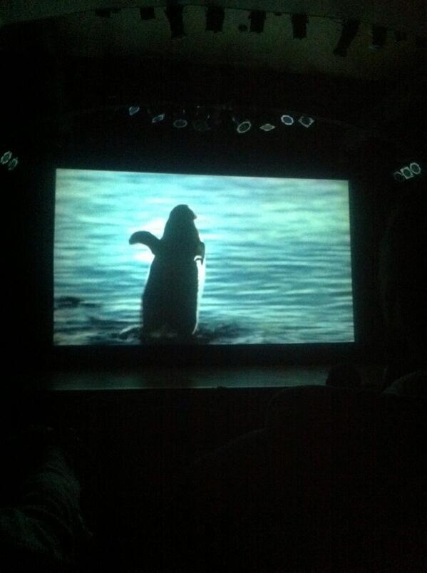 ZetadocP's tweet photo. “@MollyBoys: Las imágenes de la patagonia bajo el lente mágico de @ZetadocP 🐧 // cc @EShipChile http://t.co/0ItjHyCXyl”/ Gracias @MollyBoys