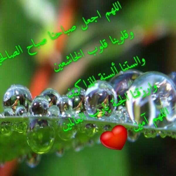 buauof's tweet photo. اللهم اغننا بحَلالِك عن حرامك وبفضلك عمَّن سواك http://t.co/14rgMHJfvL