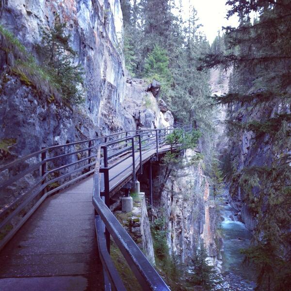 LOVED our hike at <a href="/JohnstonCanyon/">Johnston Canyon </a> the last few weeks of Summer! FALL is here and we won't let that stop us!