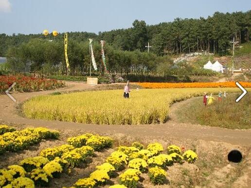 어제 연차쓰고 청원생명축제 다녀왔어요! 
요즘 일이 너무 바빠서 지쳤었는데 
공기좋은 곳 가서 놀다 오니까 스트레스 완전 해소됐어요ㅎㅎ가을여행 계획중이신 분들께 청원생명축제 강추드림!!^^