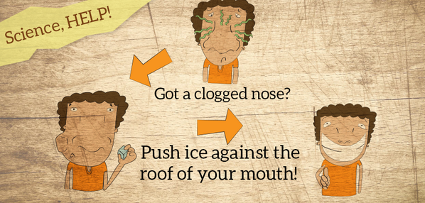 cleanergycenter's tweet image. A clogged nose can be a pain. Here's a simple remedy that might just do the trick. #cloggednose #colds