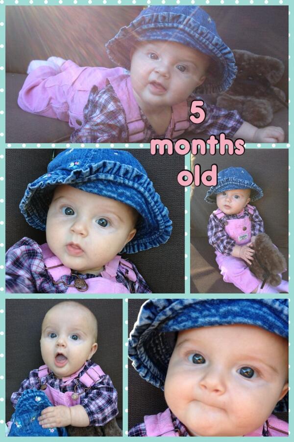 heather treannie tweet media