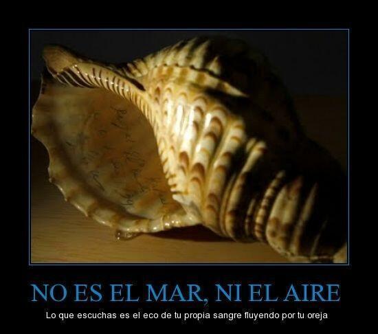 MejoresTwits's tweet photo. HE VIVIDO ENGAÑADO TODA MI VIDA http://t.co/7Ioxzrh5DJ