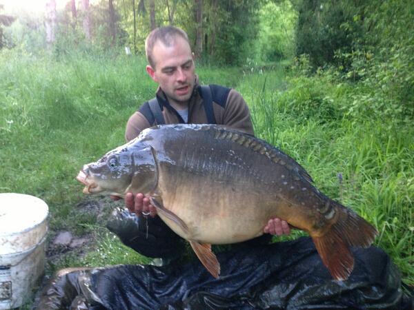 EnoughCarp's tweet photo. @askpenners Old warrior http://t.co/qbYu9FX0Rv