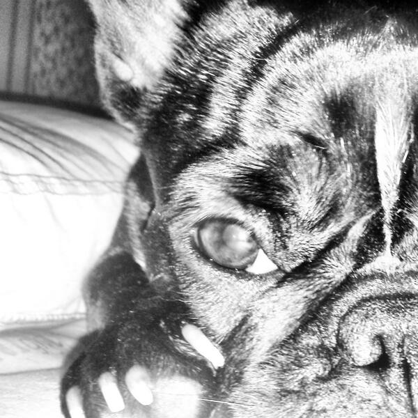 Enlace permanente de imagen incrustada