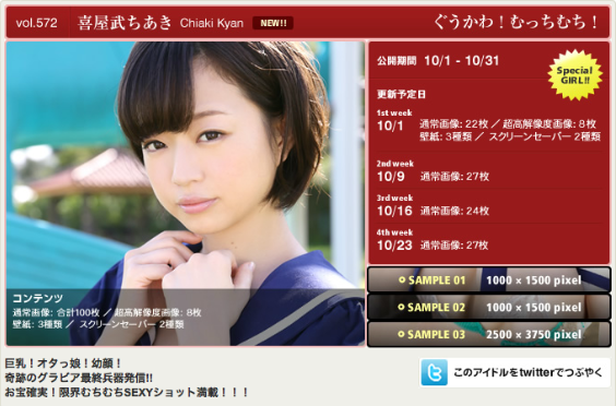 ビジュアルウェブs