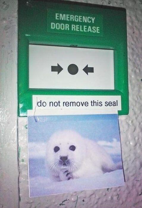 Fetchfido Games tweet media